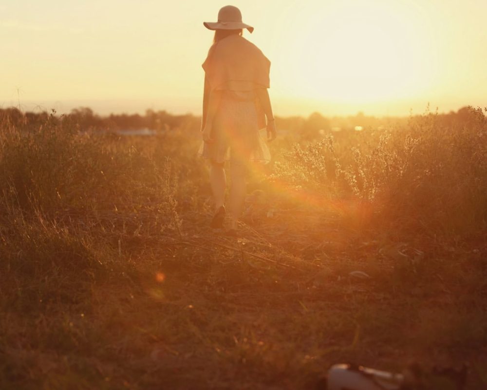 Book luxurious heritage hotel in jawaii | Luxury jungle lodge in pali