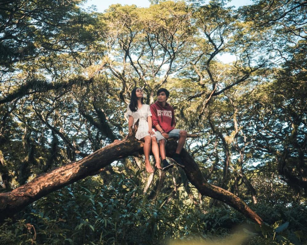 Book luxurious heritage hotel in jawaii | Luxury jungle lodge in pali