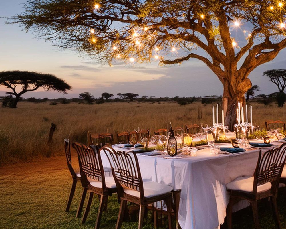 book jungle lodge | resort | cottage | in pali ,Rajasthan