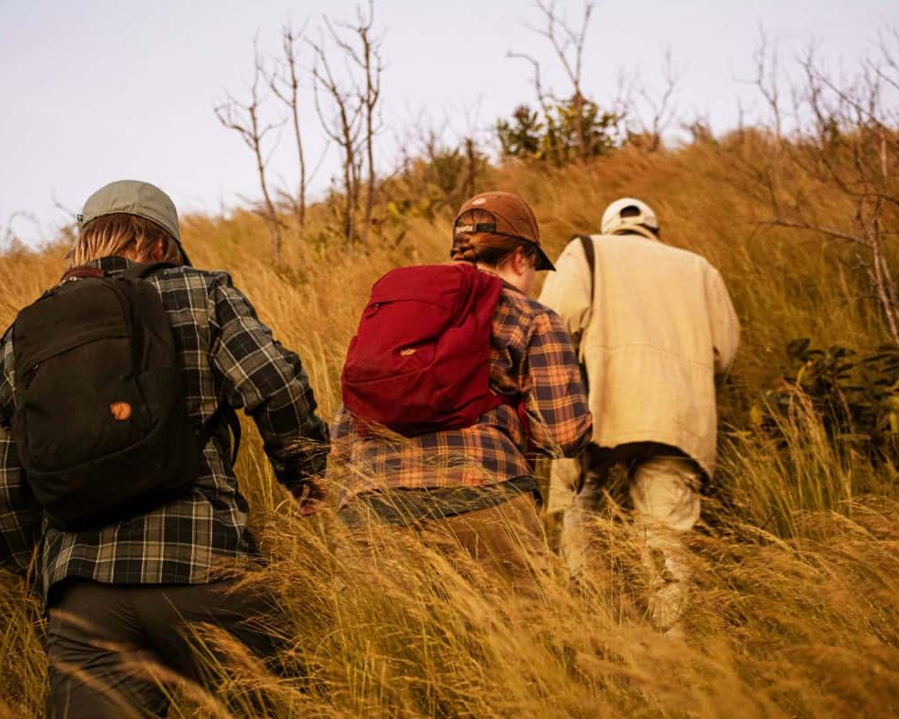 book jungle safari in jawai | aloof stays| leopard safari